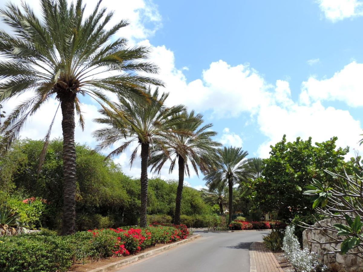 Piscadera Bay Resort 24 Willemstad Eksteriør billede